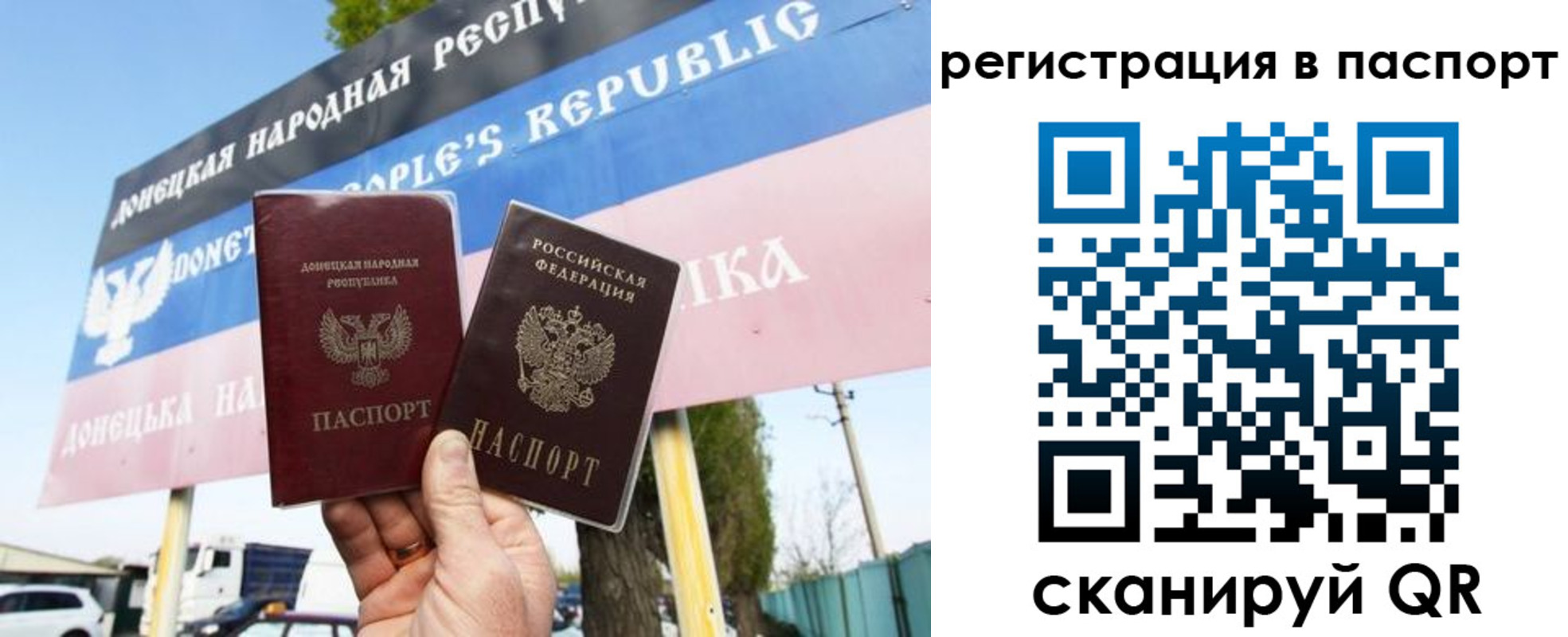 прописка поиск в Тимашёвске